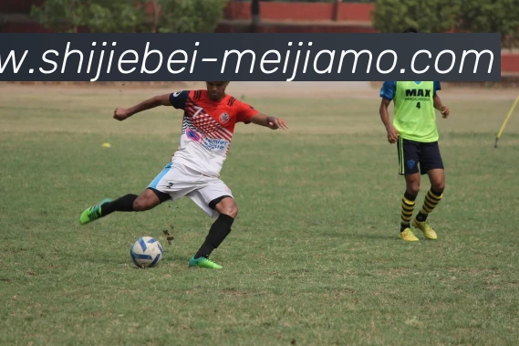 世界杯买球平台生态图