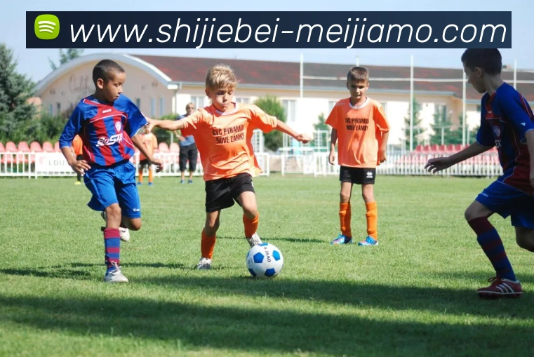 世界杯买球APP 封面图